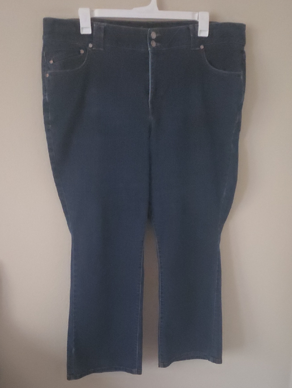 Lane Bryant Tighter Tummy Straight Jeans